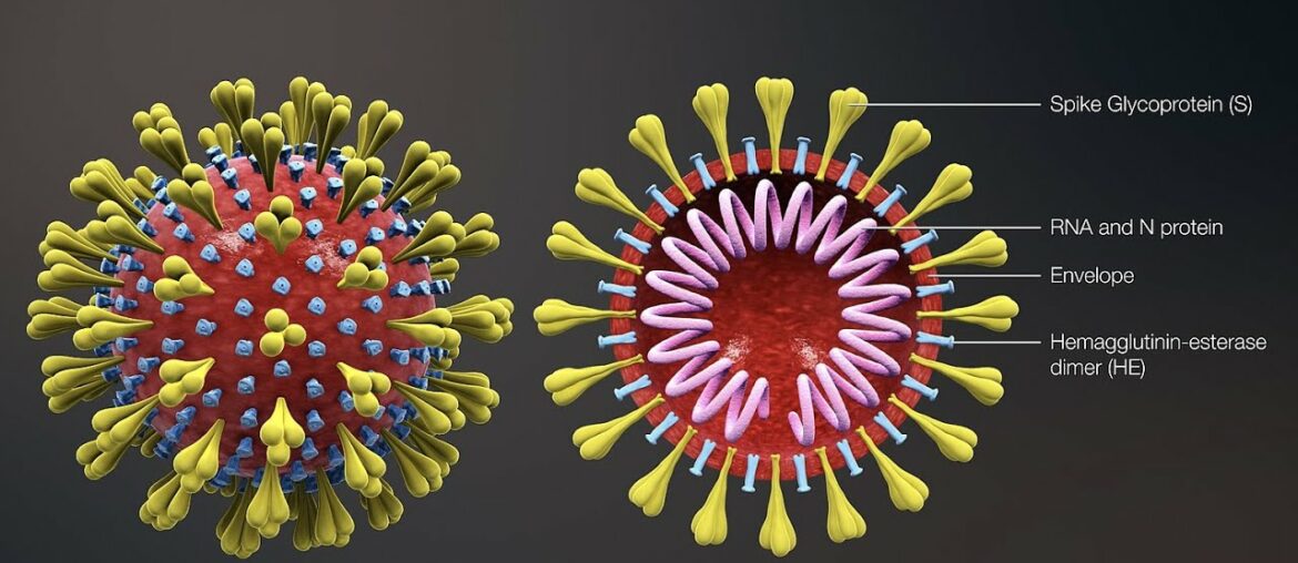 COVID 19 symptoms you might not have heard about