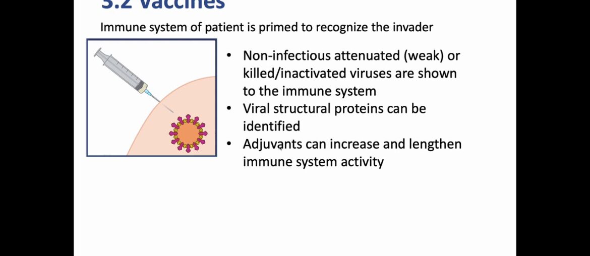 2101 COVID-19 Lecture Summary 3.3