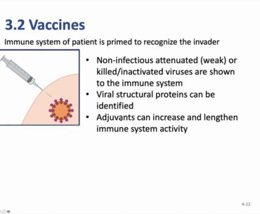 2101 COVID-19 Lecture Summary 3.3