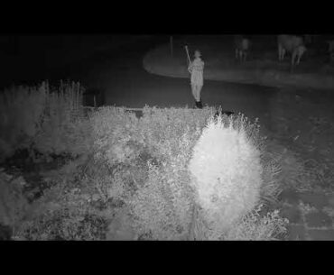 2020 08 12   Coronavirus Protest 16