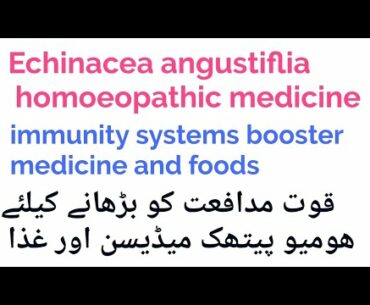 Immunity booster medicine and foods  #Echinacea#homoeopathic#medicine#for#improve#immune#system