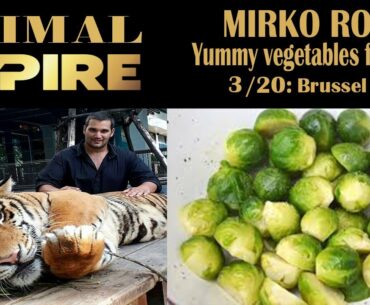 dog food / vegetables for dog / Brussels sprouts / animal empire