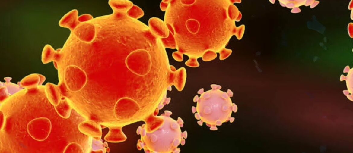 Novel Coronavirus Resources & How it affects our Immune System