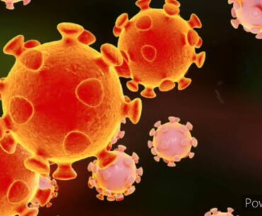 Novel Coronavirus Resources & How it affects our Immune System