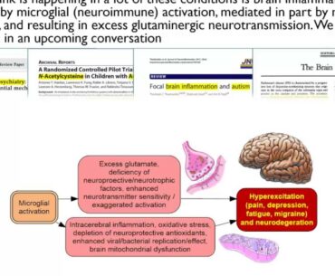 Vitamin D against infections and autoimmunity
