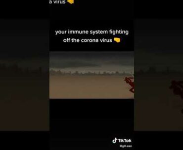 Our immune system fighting off with Corona virus....