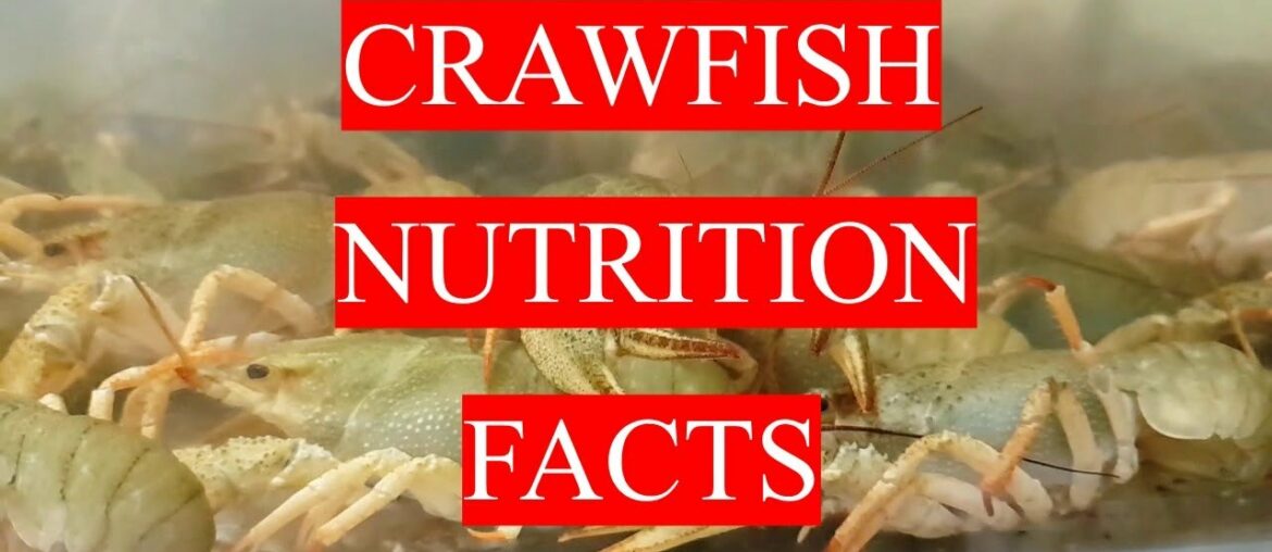 CRAWFISH  - HEALTH BENEFITS AND NUTRITION FACTS