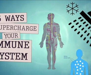 5 Ways To Supercharge your Immune System