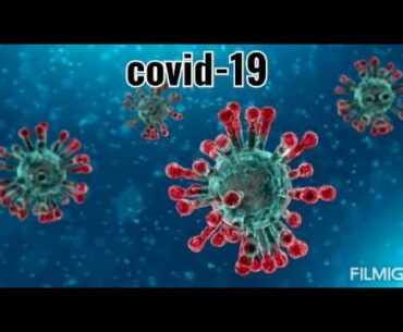 Corona virus- Boost your immune system with Vit c foods