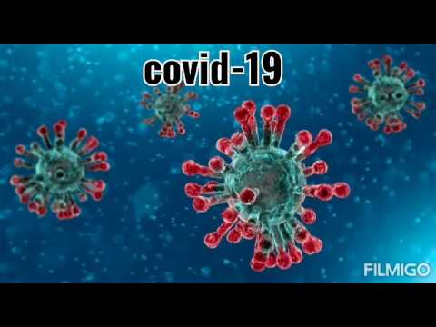 Corona virus- Boost your immune system with Vit c foods