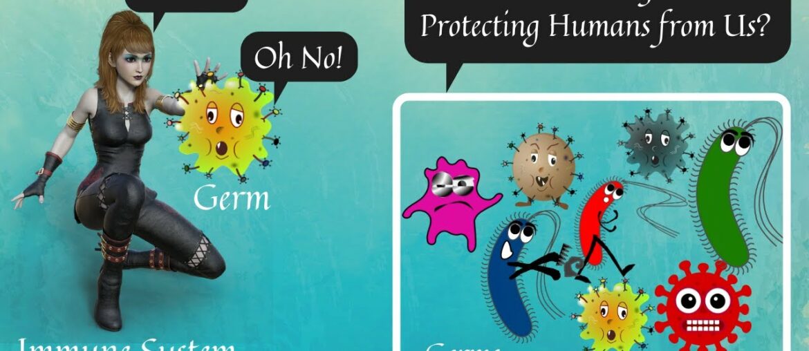 How Our Immune System Works (Innate and Adaptive Immunity)?