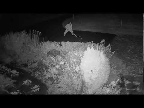 2020 09 25   Coronavirus Outbreak 10