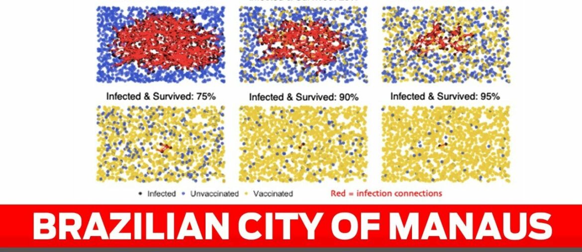 Covid-19: Brazilian city of Manaus achieved herd immunity naturally
