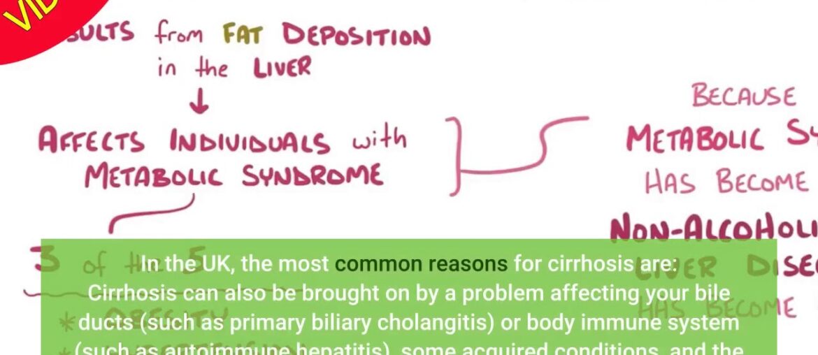 Effect of Vitamin E or Metformin for Treatment of Nonalcoholic Fundamentals Explained