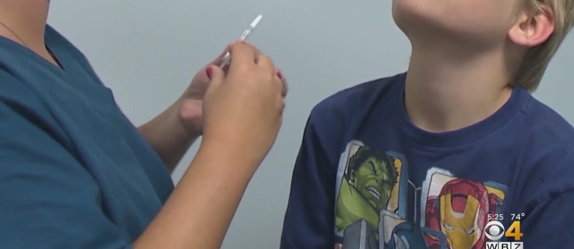 Nasal Spray Lowered Coronavirus Levels In Animal Study, Researchers Say