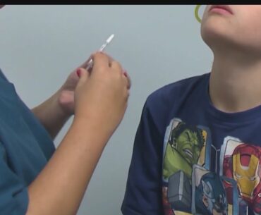 Nasal Spray Lowered Coronavirus Levels In Animal Study, Researchers Say