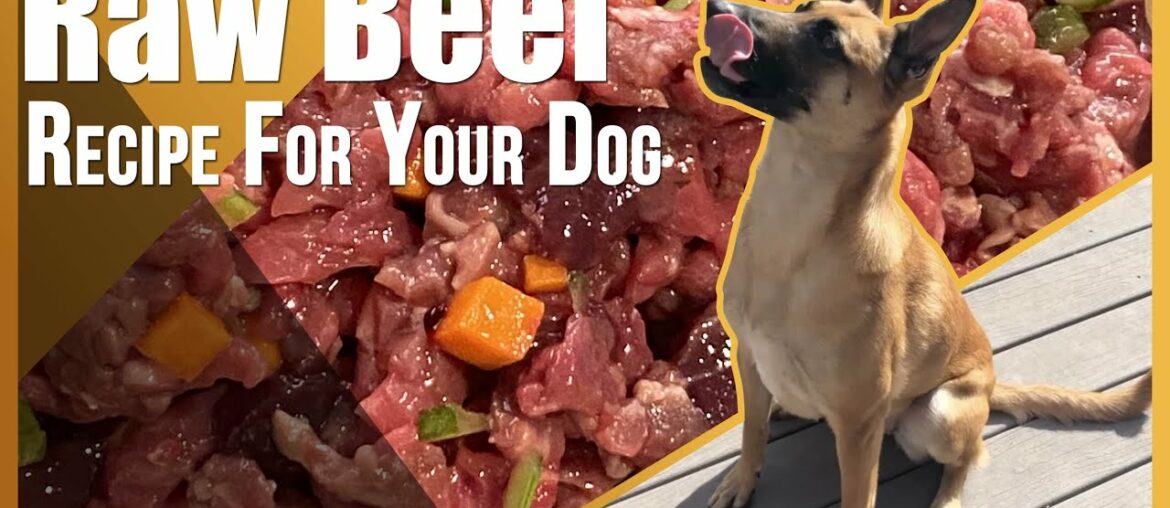 Raw Beef Meal Recipe For Your Dog. Dog Food.