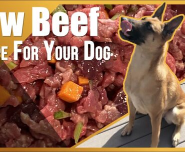 Raw Beef Meal Recipe For Your Dog. Dog Food.
