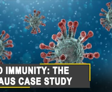 Your Story: COVID-19 case surge in in Brazilian city of Manaus despite 'Herd Immunity'