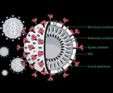 Vaccine Development for COVID-19