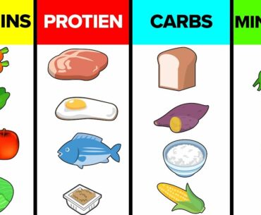 How The Six Basic Nutrients Affect Your Body