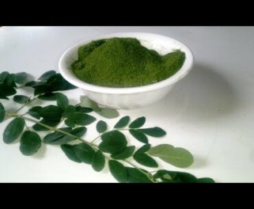 Moringa Powder: How to make moringa powder for weight loss, belly fat, Immune boosting tea/Benefits
