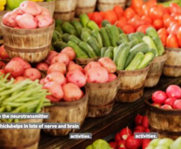 The Basic Principles Of Vitamins & Minerals - nutrition house Canada