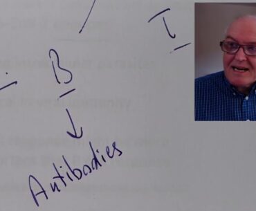 Vitamin D news and  science