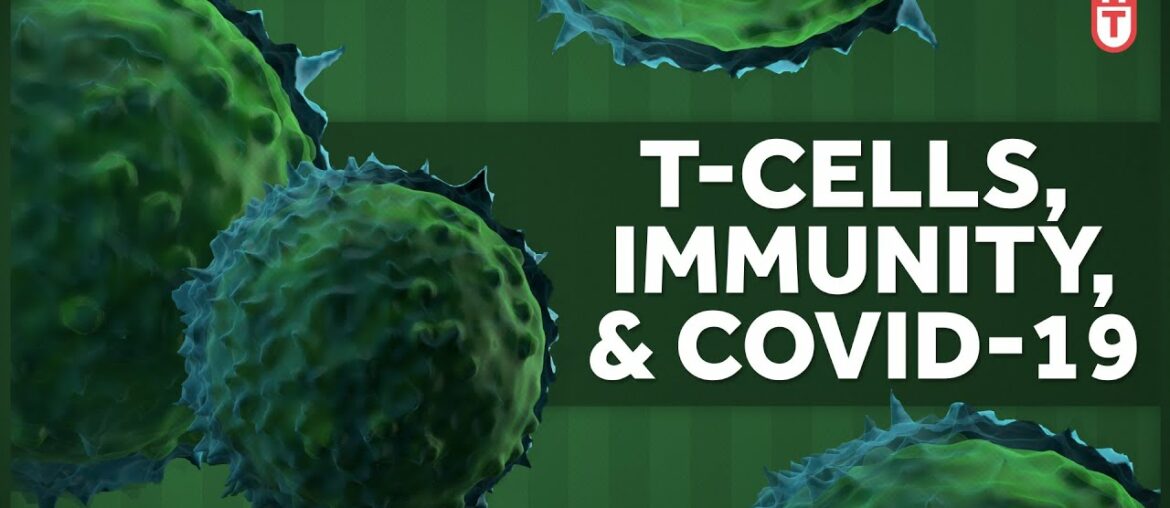 The Immune System, T-Cells, and Covid-19