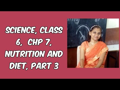 SCIENCE | CLASS 6 | CHP 7 | NUTRITION AND DIET | PART 3