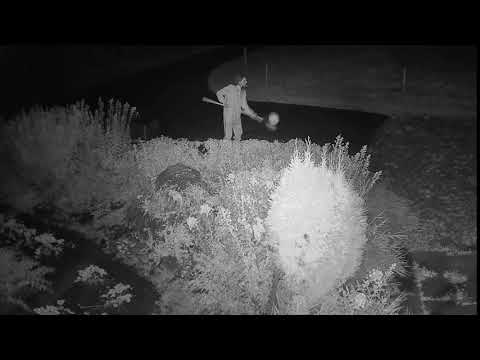 2020 09 29   Coronavirus Purge, baker style