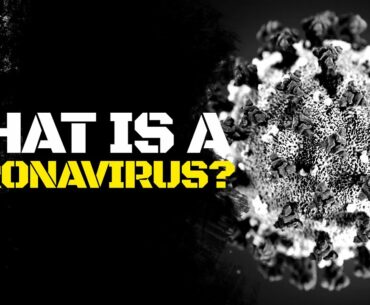 Coronavirus pathology explained