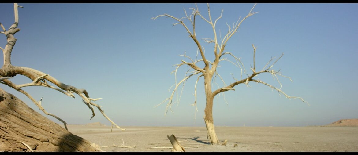 Nutrilite Vitamin B by Amway is sourced from Spirulina