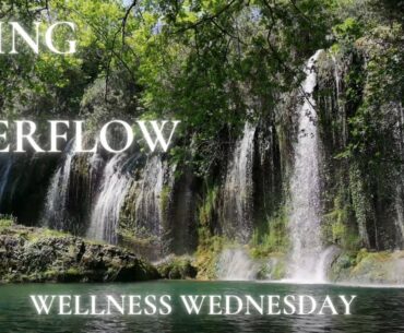 Wellness Wednesday ... The Importance of Detoxing & What's the Big Deal with this Red Juice