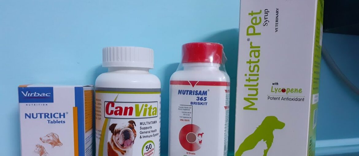 Best multivitamin for dog, multivitamin for dogs growth, uses of multivitamin for pets