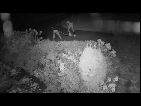 2020 10 01   Coronavirus Purge, Swedish style