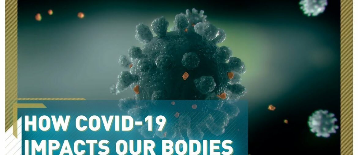 How does the coronavirus make people ill?