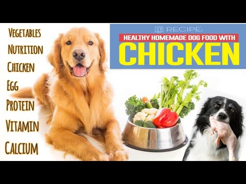 HEALTHY HOMEMADE DOG FOOD RECIPES | WINTER DOG FOOD | VEGETABLES | NUTRITION | CHICKEN| VITAMIN |