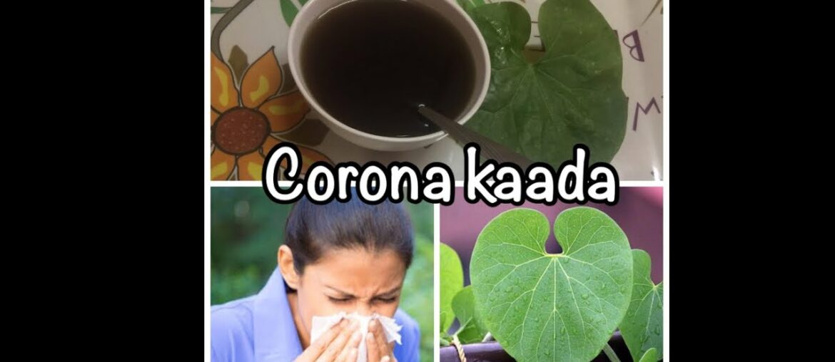 Homemade Giloy corona drink || Immunity booster drink || easiest way to improve immunity