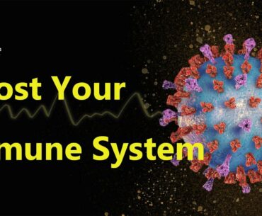 Healing Frequencies to Boost Your Immune System - Frequency Heals