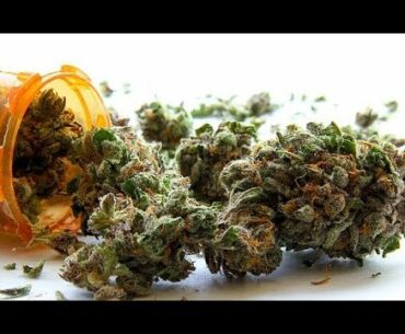 THC in cannabis could help treat deadly COVID-19 complications  - News Today