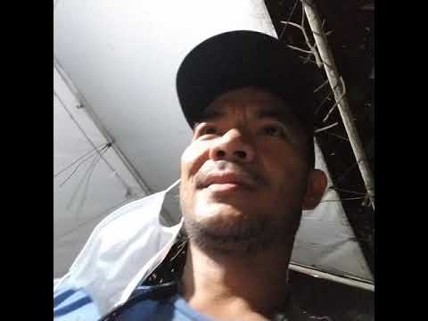 Real Wild Honey Test and Taste