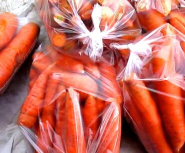 Clean Your Arteries: What are the benefits of carrots in your body? What happens if you eat carrots