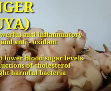 4 Perpektong Mabisang Sangkap Upang Immune System ay Palakasin ngayon may Covid-19 Pandemic