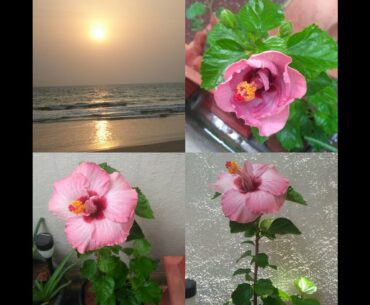 9 FACTS ABOUT VITAMIN D by Dr. Akshatha