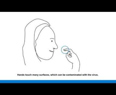 Covid19 Health and wellness training for students