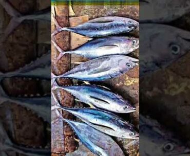 TOP 10 VITAMIN A RICH FOODS