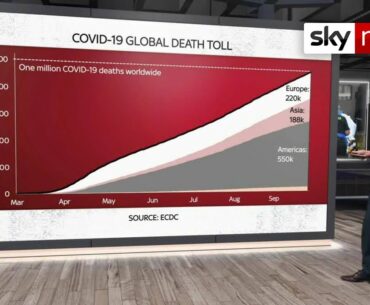 One million people killed by COVID-19
