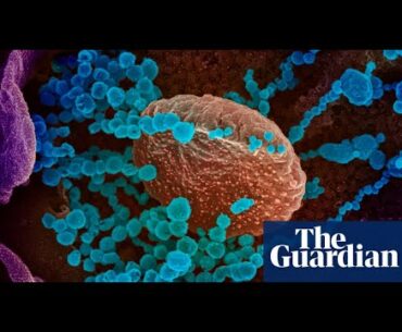 Donald Trump receiving Covid 19 treatment yet to be peer reviewed