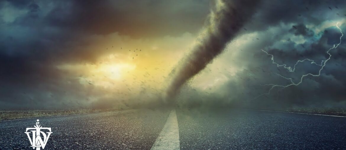 Is Elderberry Okay for COVID? Does Elderberry Cause "Cytokine Storm?"